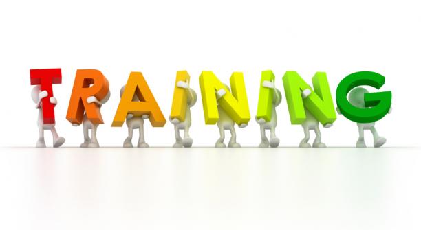 Best Training